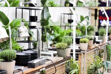 Bild 4 eventura - Die Veranstaltungsprofis! GmbH in Geldern