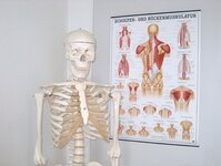 Bild 3 Heinrichs in Viersen