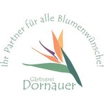 Bild 14 Dornauer in Neustadt a.d.Aisch