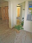 Bild 4 Werler in Jahnsdorf/Erzgeb.