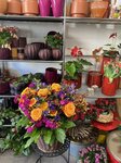 Bild 6 Schöner Schenken Inh. Susanne Lother - Blumen und Geschenkartikel in Nürnberg