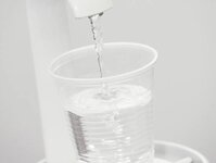 Bild 4 Stolley in Düsseldorf