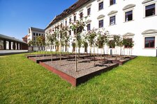 Bild 4 Jörg Seidenspinner Garten- und Landschaftsbau GmbH in Stuttgart