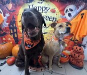 Bild 4 Izler-Demirci in Mönchengladbach