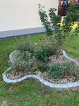 Bild 5 Rachel in Neschwitz