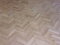 Bild 4 Holzwurm Parkett Andreas Naumann in Dresden