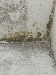 Bild 9 Sachverständiger Bau I Bauleitung I Schadensgutachten I Wertermittlung Matthias Reinhard Bickelhaupt in Pleidelsheim