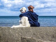 Bild 1 Trum in Haßfurt