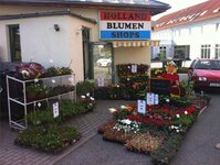 Bild 5 Holland Blumenshop in Falkenstein/Vogtl.
