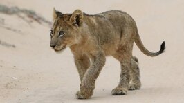 Bild 5 Severin Travel GmbH in Düsseldorf