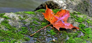 Bild 7 Oberüber Bestattungen in Dresden