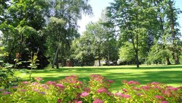 Bild 1 Stadt Teublitz Vermittlung in Teublitz