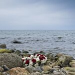 Bild 1 Oberüber Bestattungen in Dresden