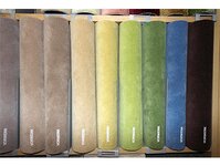 Bild 4 Poland in Aue-Bad Schlema