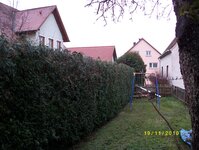 Bild 2 Szigeti GbR in Forchheim