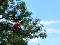 Bild 1 Ritter in Würzburg