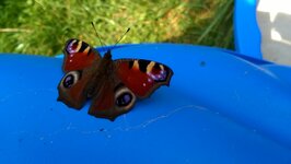 Bild 1 Fa. Heymann Destilliertes Wasser in Lichtenau