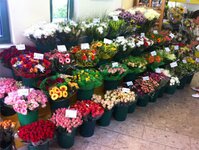 Bild 6 Holland Blumen Shops in Chemnitz