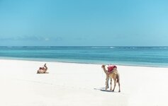 Bild 4 Severin Travel GmbH in Düsseldorf