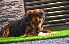 Bild 4 Reiter Fliesen Handels GmbH in Deggendorf