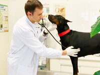 Bild 5 Peresada in Altenkunstadt