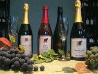 Bild 1 Weingut Schmidt GbR in Ippesheim
