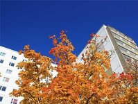 Bild 3 LebensRäume Hoyerswerda eG in Hoyerswerda