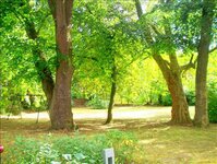 Bild 2 Limpert in Erlangen