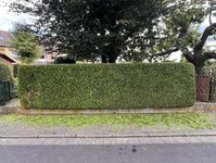 Bild 6 Schmittutz in Nüdlingen