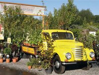 Bild 1 Kreiser in Kreischa