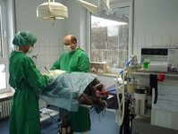 Bild 9 Tierarztpraxis Wingeß Thomas Dr. in Herzogenaurach