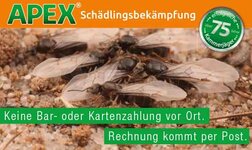 Bild 10 APEX Schädlingsbekämpfung in Neuss