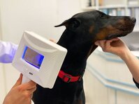 Bild 4 Peresada in Altenkunstadt