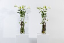 Bild 3 Blumen 1A Inh. Frank Halbig in Lauf a.d.Pegnitz