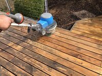 Bild 1 Paul in Würzburg