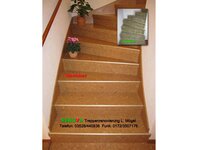 Bild 4 Mögel in Schönborn