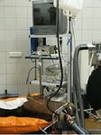 Bild 2 Tierärztliche Klinik Würzburg in Reichenberg