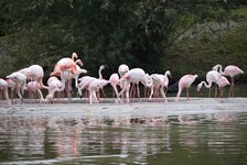 Bild 1 Daoud in Kerken