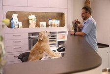 Bild 4 Schöbel in Wilkau-Haßlau