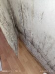 Bild 6 Sachverständiger Bau I Bauleitung I Schadensgutachten I Wertermittlung Matthias Reinhard Bickelhaupt in Pleidelsheim