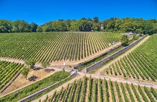 Bild 8 Stiftung Bürgerspital zum Hl. Geist Weingut in Würzburg