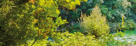 Bild 1 Bestattungen Grusemann in Bochum