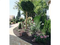 Bild 3 Kreiser in Kreischa