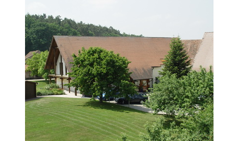 ErgoAlm - Ergo-/Handtherapie in Veitsbronn - Logo