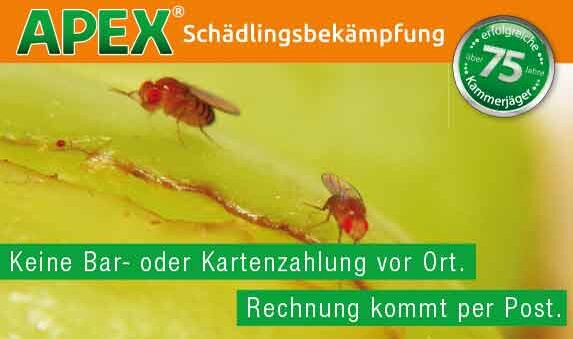 Bild 9 APEX Schädlingsbekämpfung in Neuss