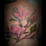 Bild 5 Hahn in Dresden