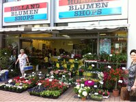 Bild 1 Holland Blumenshop in Falkenstein/Vogtl.