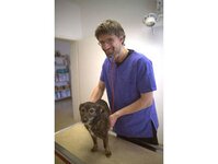Bild 5 Tierarztpraxis Großtiere Rüdiger Mauhs in Coswig