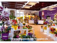 Bild 2 Wappler Blumenhaus in Zwickau
