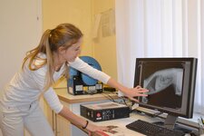 Bild 4 Tierärztliche Praxis für Kleintiere | Dr. med. vet. Angelika Ranzinger in Regensburg